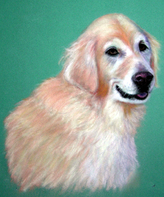 Fine Art Pet Portrait by Artist Donna Aldrich-Fontaine - Charlie Golden Retriever.jpg
